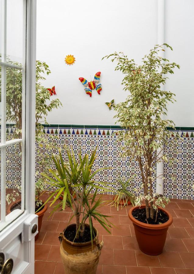 CómpetaVivienda Rural Antaresアパートメント エクステリア 写真